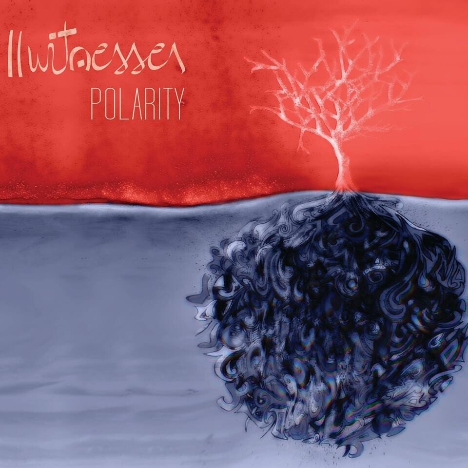 

CD диск Polarity | 2 Witnesses