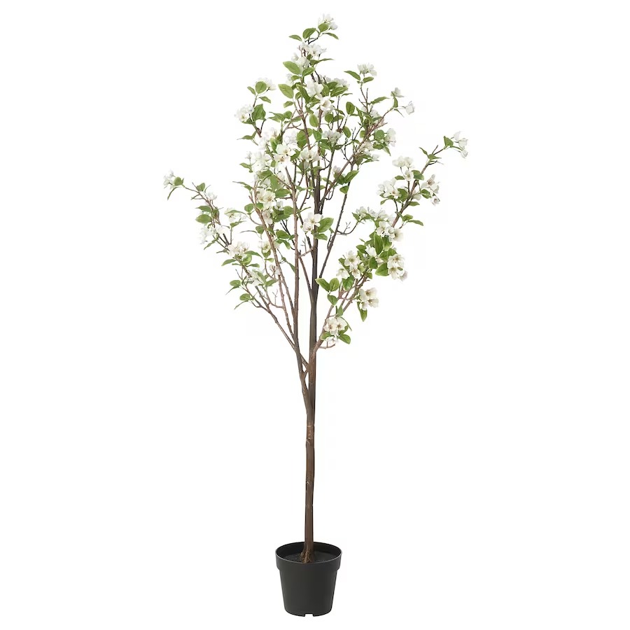 цена Искусственное растение Ikea Fejka Indoor Outdoor Apple Tree, 19 см