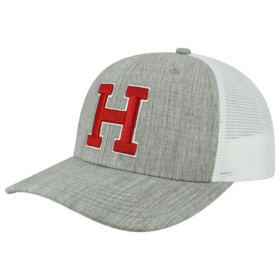 

Бейсболка Legacy Athletic Harvard Crimson, серый