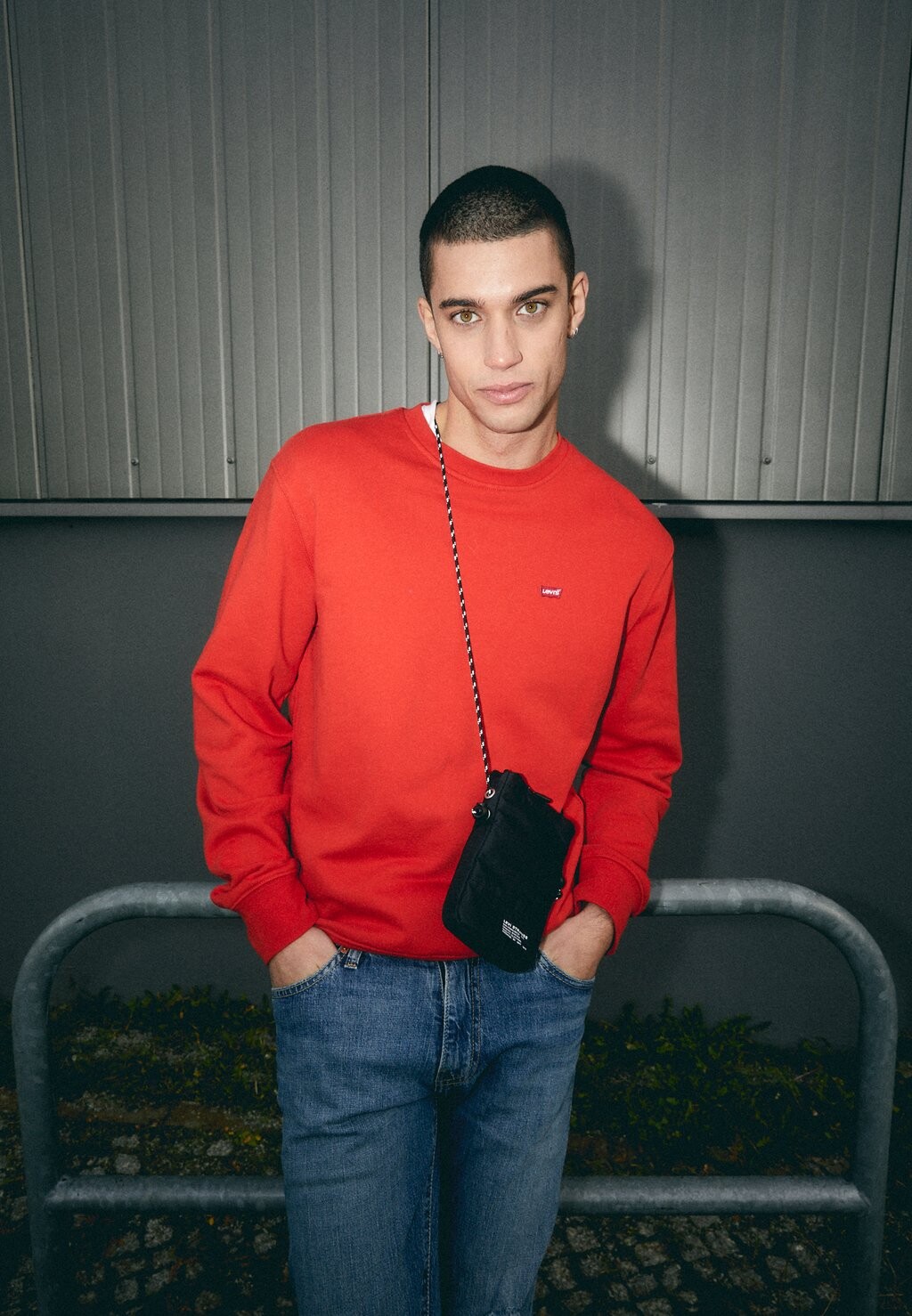 

Толстовка Levi's