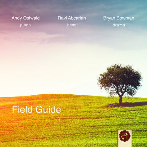 

CD диск Ostwald, Andy Trio: Field Guide