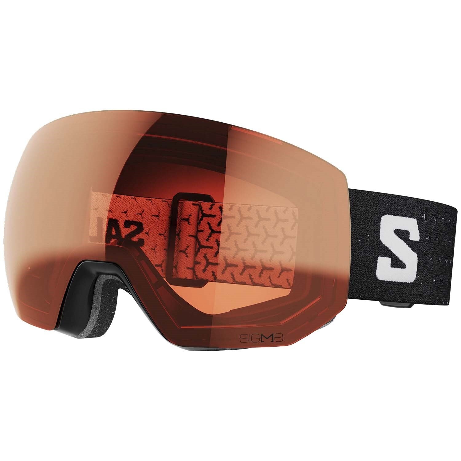 

Защитные очки Salomon Radium Pro, черный