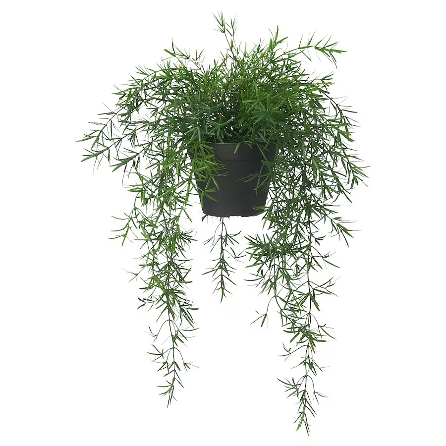 цена Искусственное растение Ikea Fejka Indoor Outdoor Asparagus Hanging, 12 см