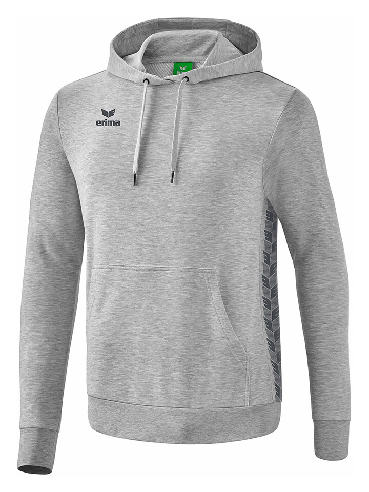 

Толстовка erima Hoodie Essential Team, серый