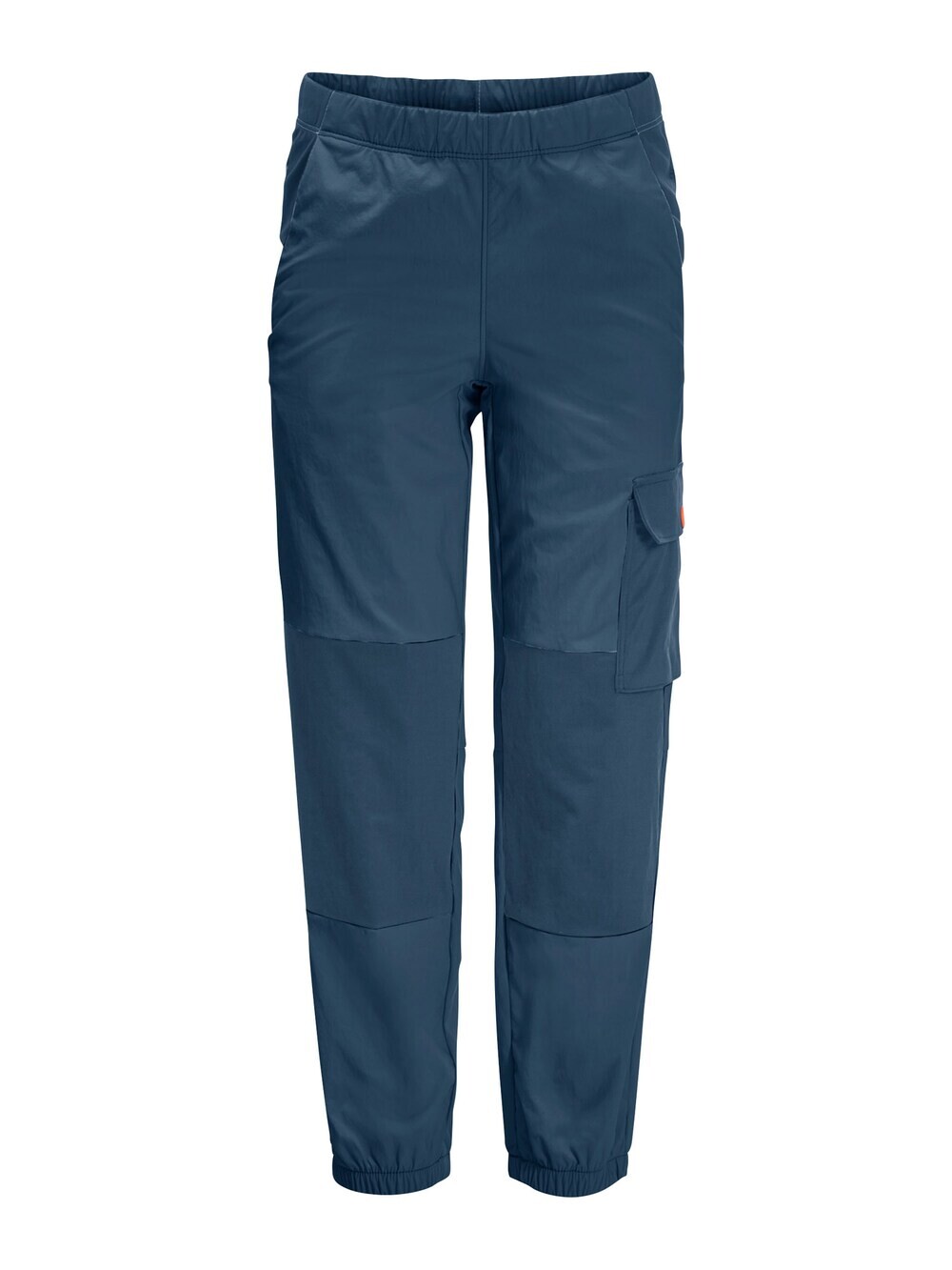 

Зауженные уличные брюки Jack Wolfskin, горечавка