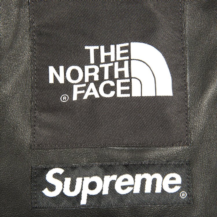 North face leather mountain shop parka