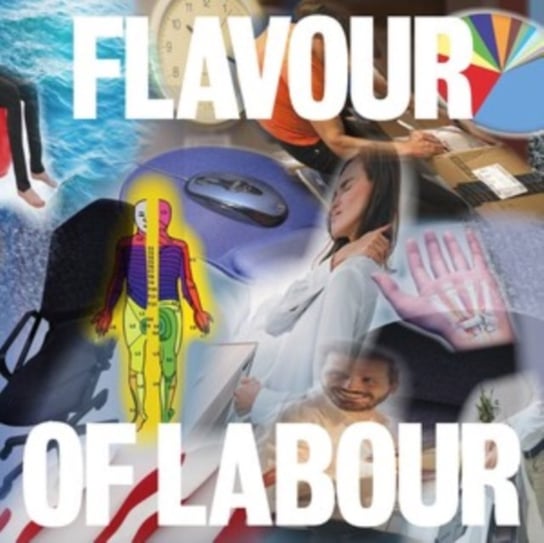 Виниловая пластинка Public Body - Flavour of Labour