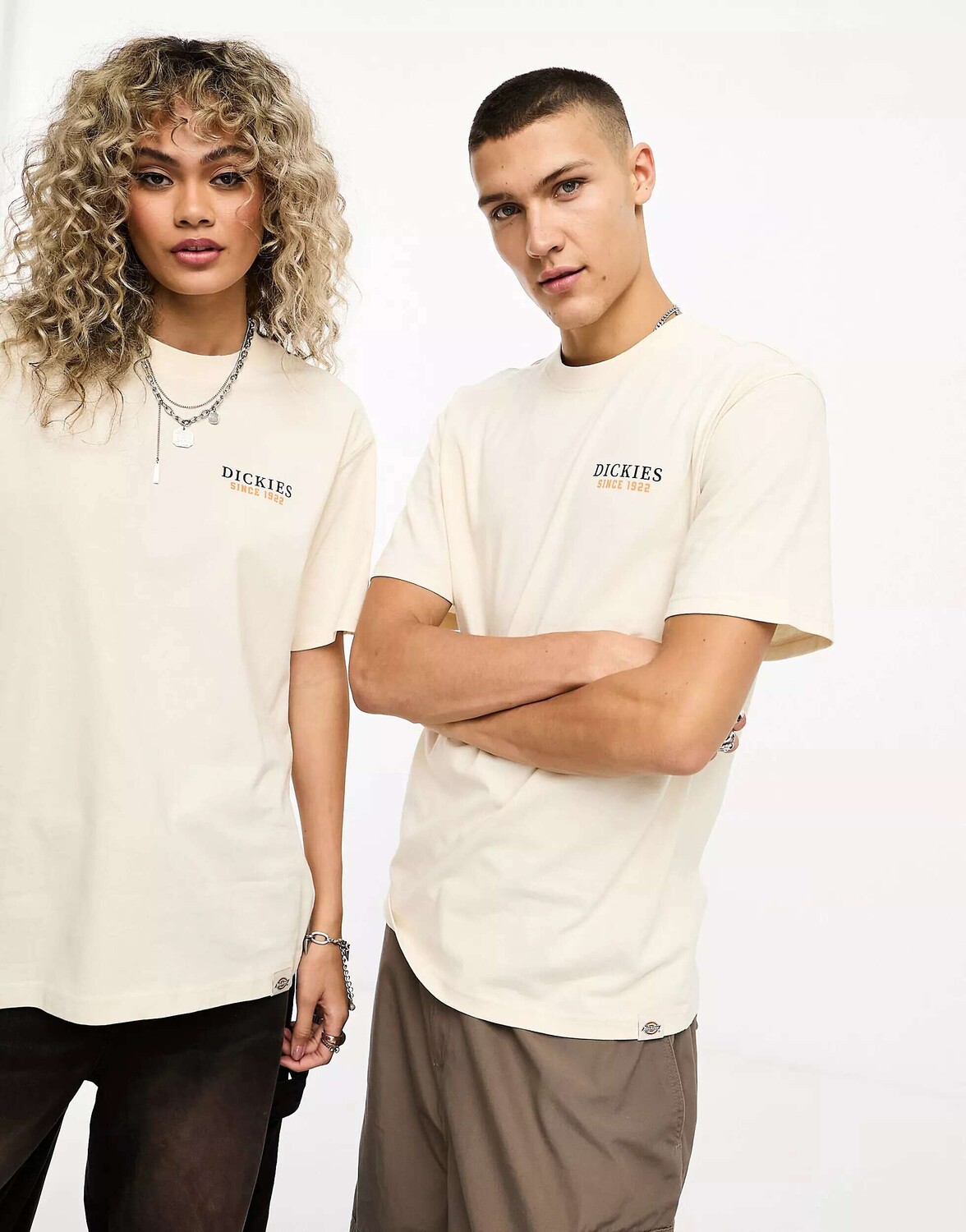 

Футболка Dickies Westmoreland с каменным принтом на спине