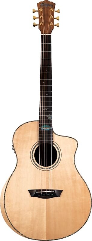 

Акустическая гитара Washburn Bella Allure SC56S, Gloss Natural, Studio, New, Free Shipping, BTSC56SCE