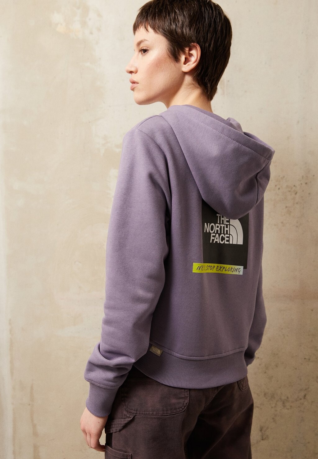 

Толстовка The North Face