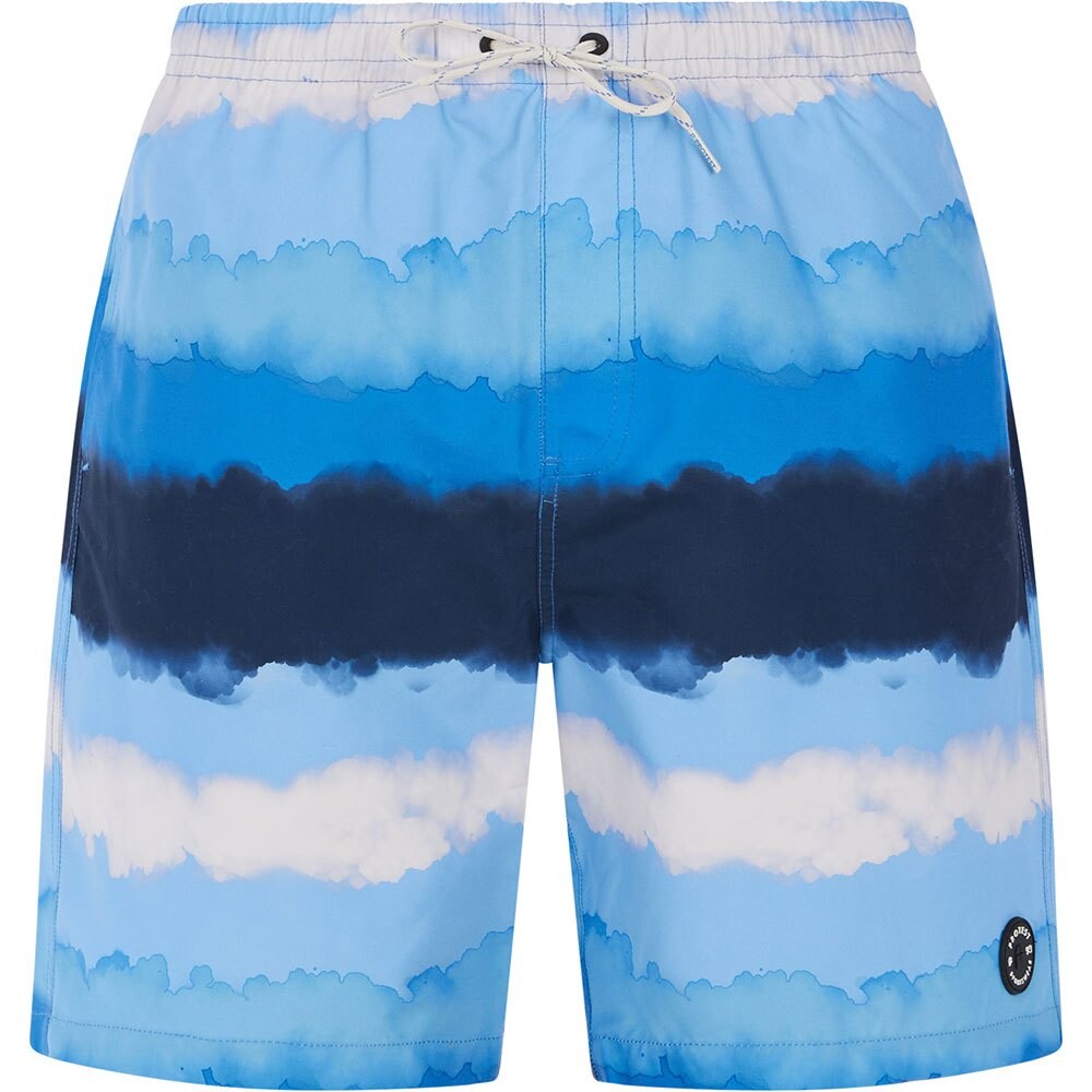 

Шорты для плавания Protest Hamsey Swimming Shorts, синий