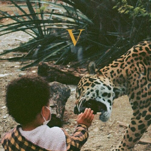 

Виниловая пластинка Unknown Mortal Orchestra - V