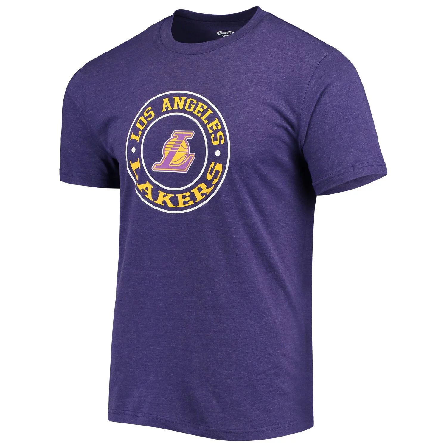 Мужской комплект для сна с футболкой и шортами для сна Лос-Анджелес Лейкерс черного/фиолетового цвета Concepts Sport