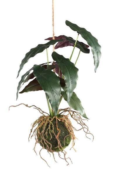 

Декоративное растение PTMD Collection Trifolium, зеленый