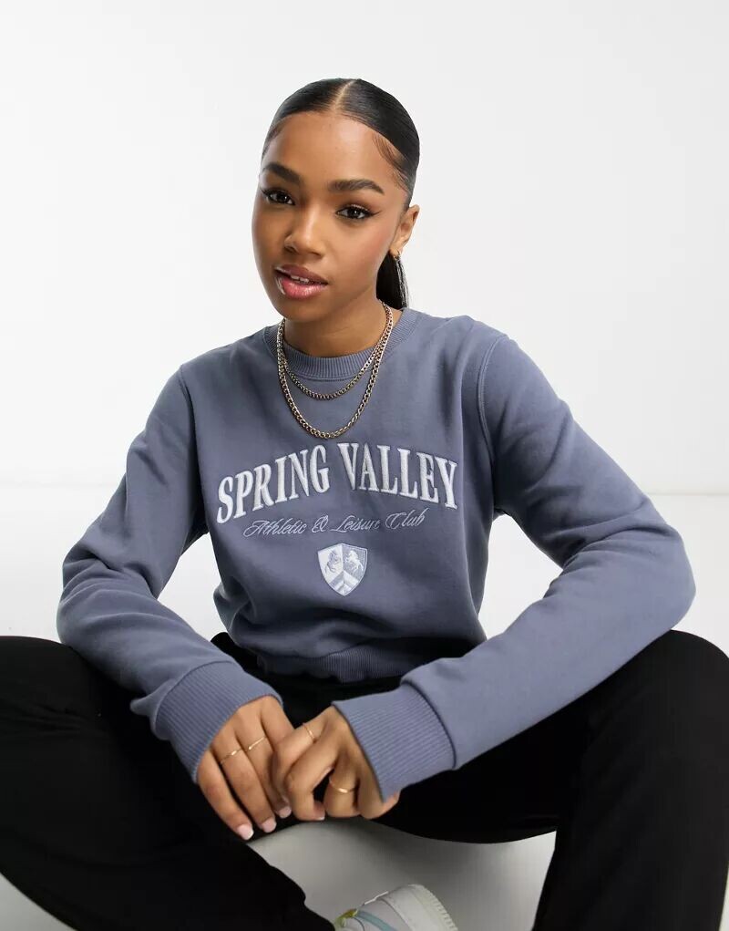 

Синяя толстовка Hollister с принтом на груди