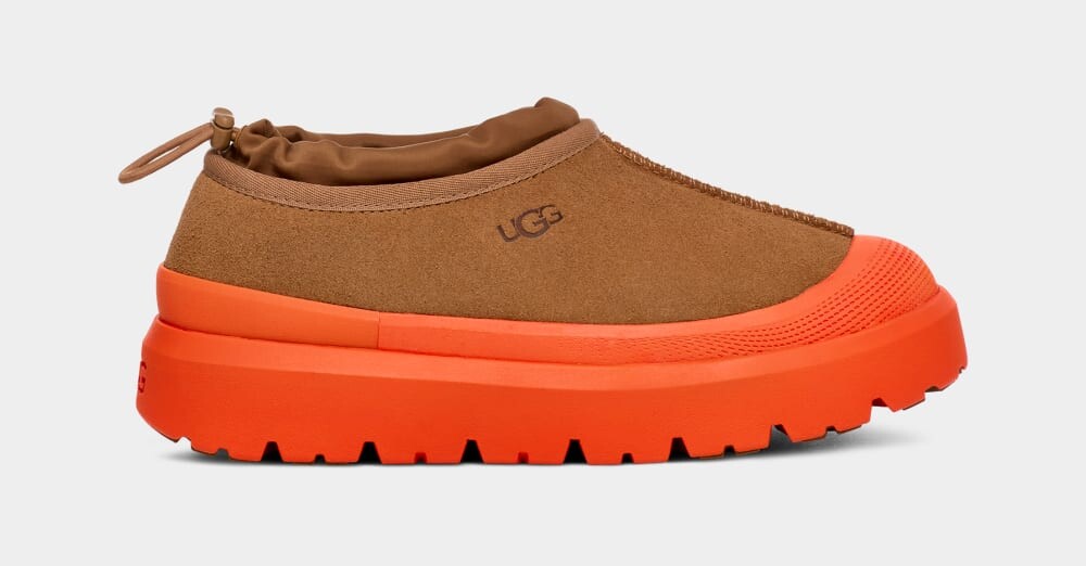 

Тапочки Tasman Weather Hybrid UGG, коричневый
