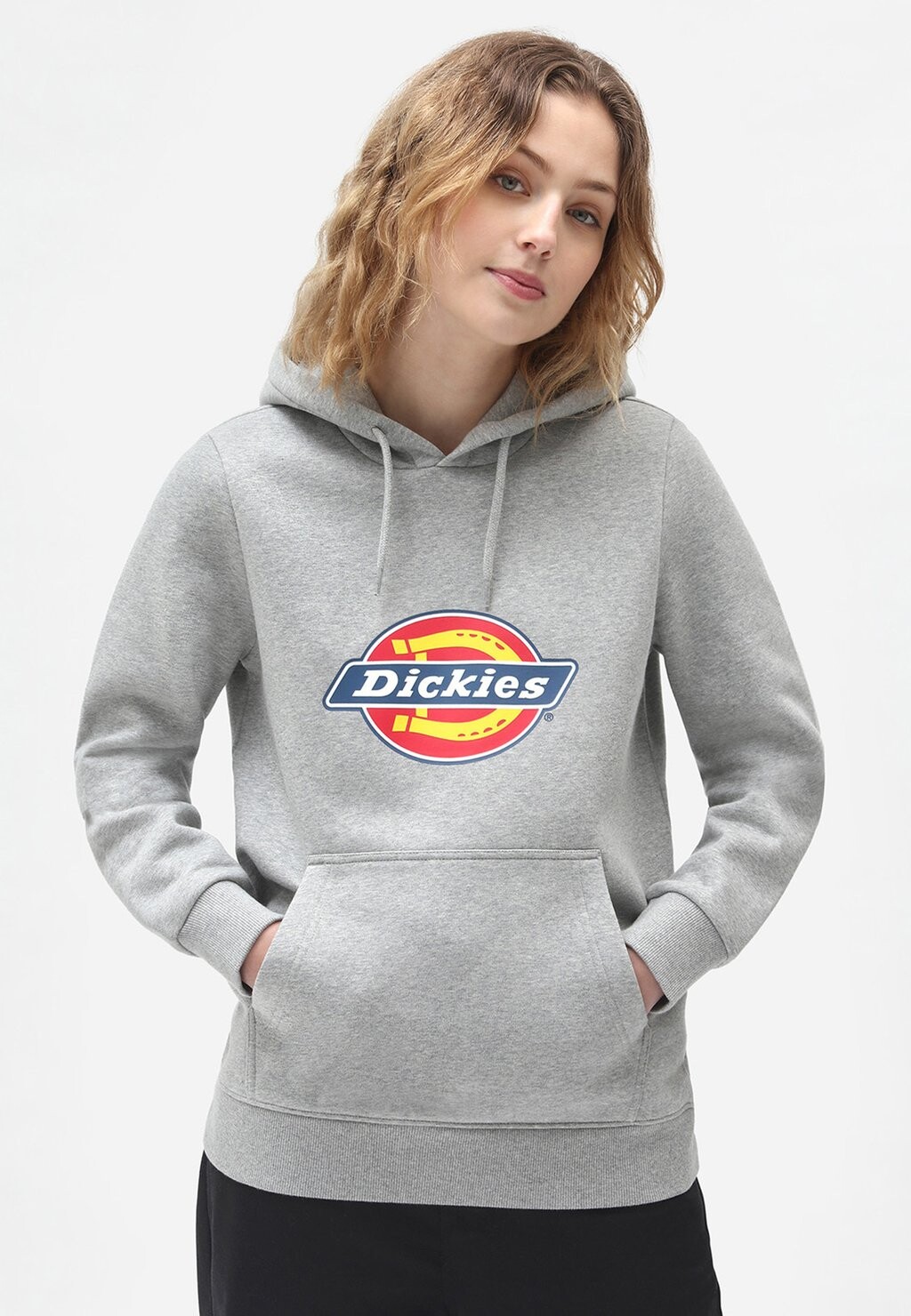 

Худи Dickies