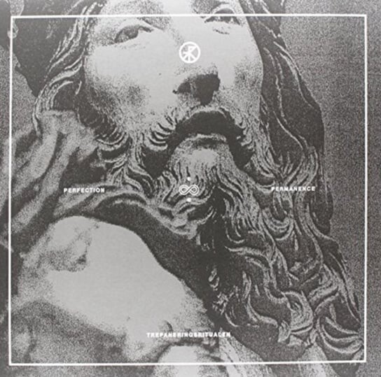 

Виниловая пластинка Trepaneringsritualen - Perfection & Permanence