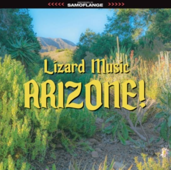 Виниловая пластинка Lizard Music - Arizone!