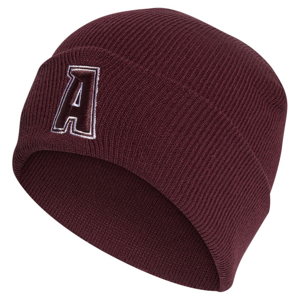 

Шапка adidas 2 Color Logo, красный