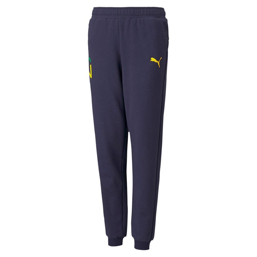 

Брюки Puma Neymar Jr Future Long, синий