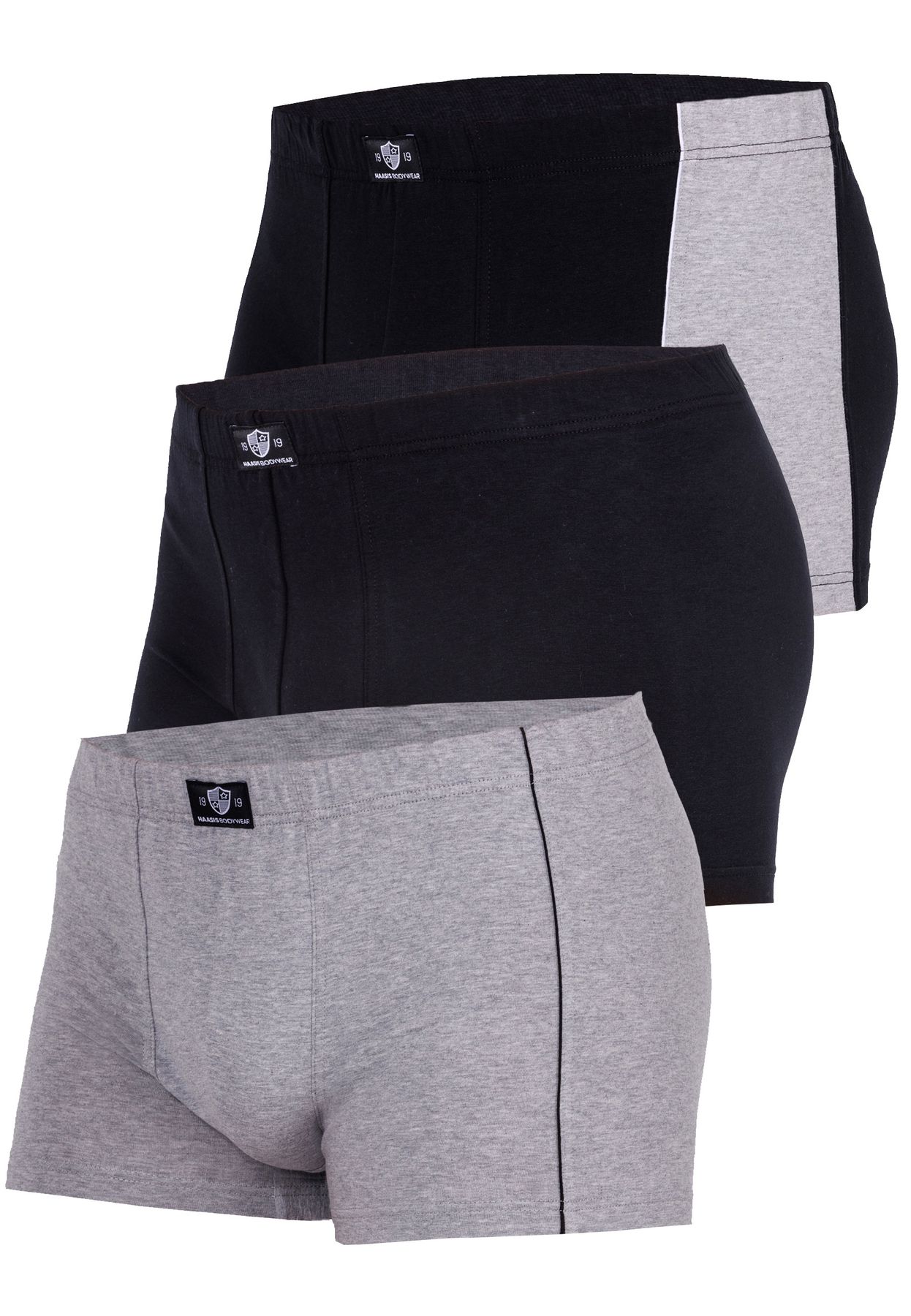 Боксеры Haasis Bodywear 3er-Set: Pants, цвет schwarz/graumeliert цена и фото