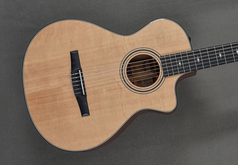 

312CE-нейлон Taylor