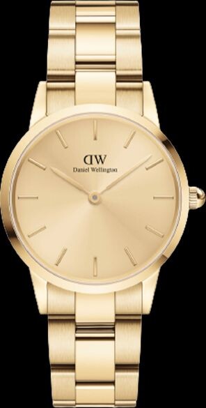 

Часы Daniel Wellington DW00100403