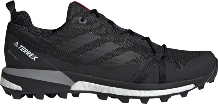 

Кроссовки Adidas Wmns Terrex Skychaser LT GTX 'Carbon', черный