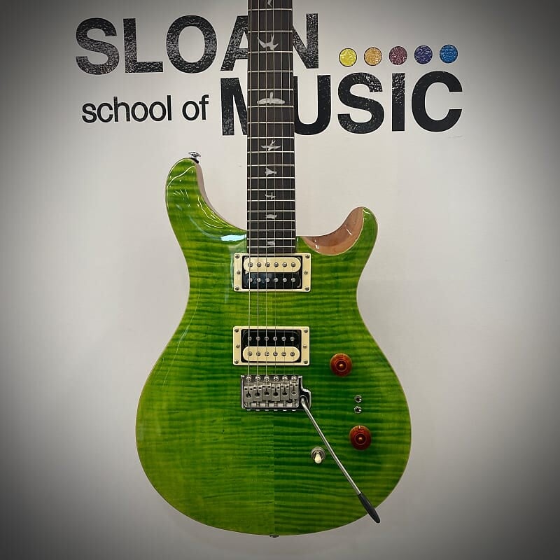 

PRS SE Custom 24-08 Эриза Верде PRS SE Custom 24-08 Eriza Verde