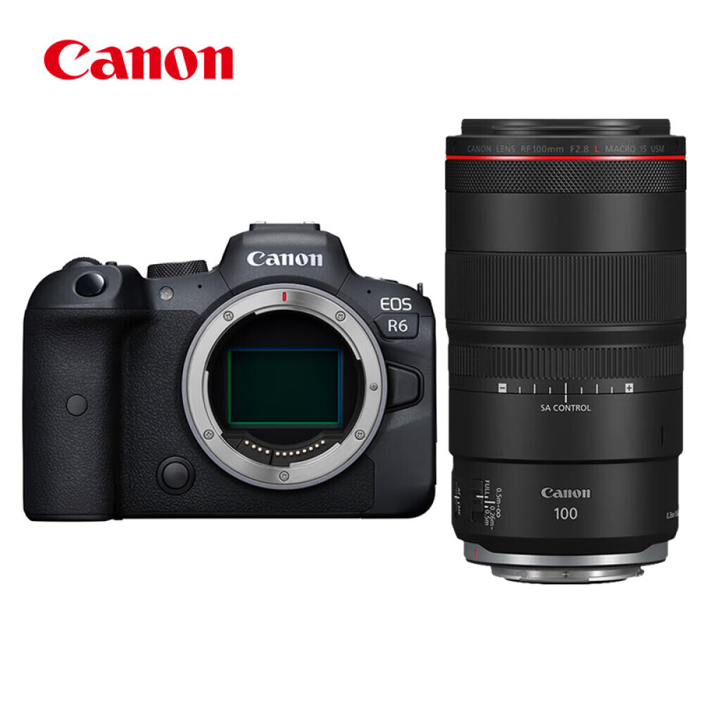 

Фотоаппарат Canon EOS R6 4K RF 100mm