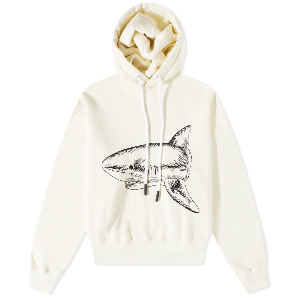 

Толстовка Palm Angels Split Shark Popover Hoody, Серый