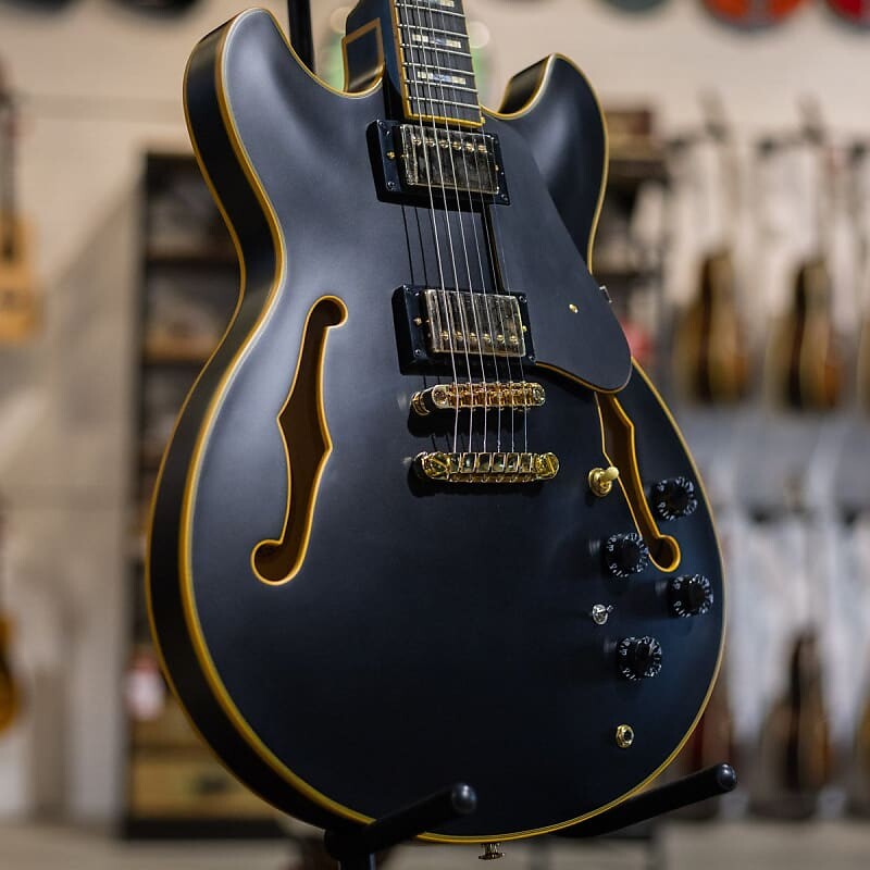 

Электрогитара Ibanez JSM20BKL John Scofield Signature, черный глянцевый