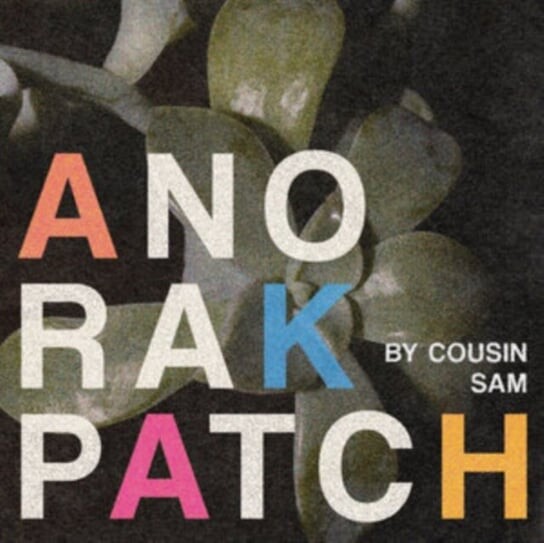 

Виниловая пластинка Anorak Patch - By Cousin Sam