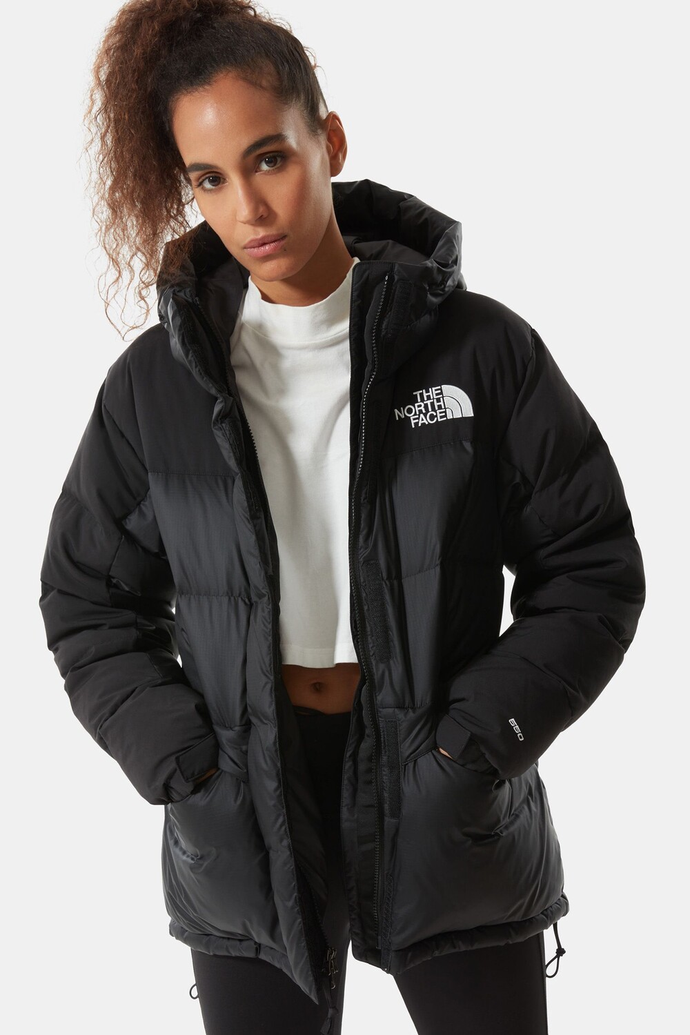 

Синяя куртка-парка с гималайским вырезом The North Face, черный