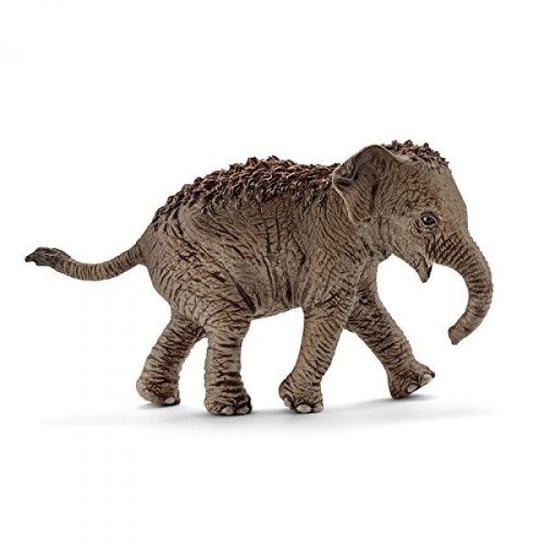 Schleich, Коллекционная статуэтка, Молодой азиатский слон фигурка schleich симментальский теленок 13802 5 см