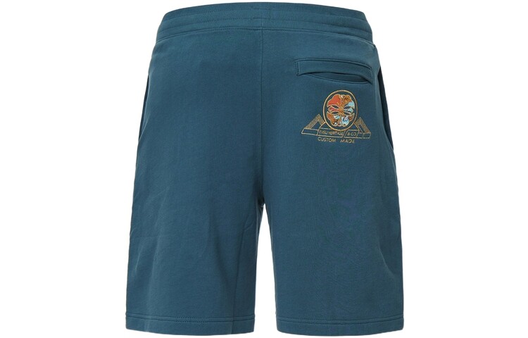 

Мужские повседневные шорты Evisu, темно-синий