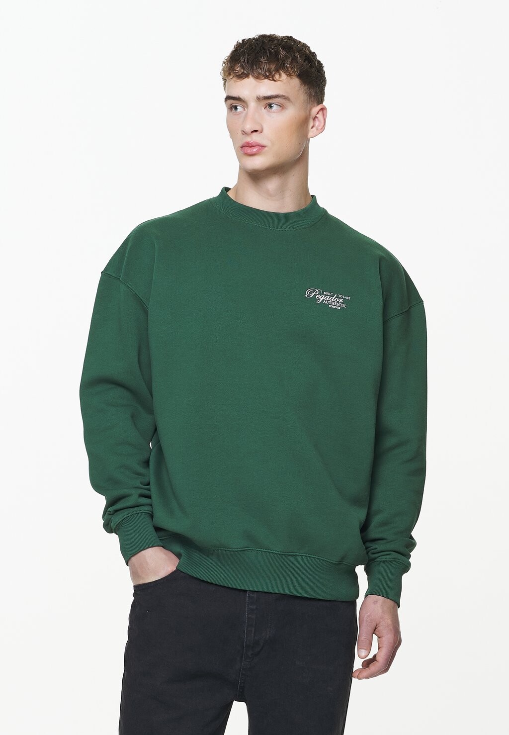 

Толстовка Pegador TAVERY OVERSIZED, зеленый