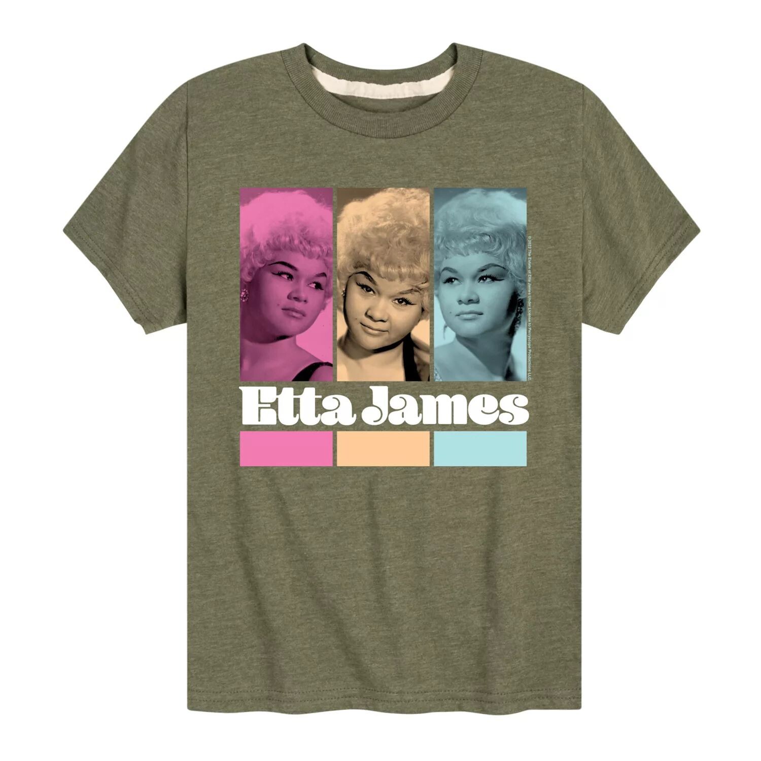 

Футболка Etta James Trio для мальчиков 8–20 лет Licensed Character, зеленый