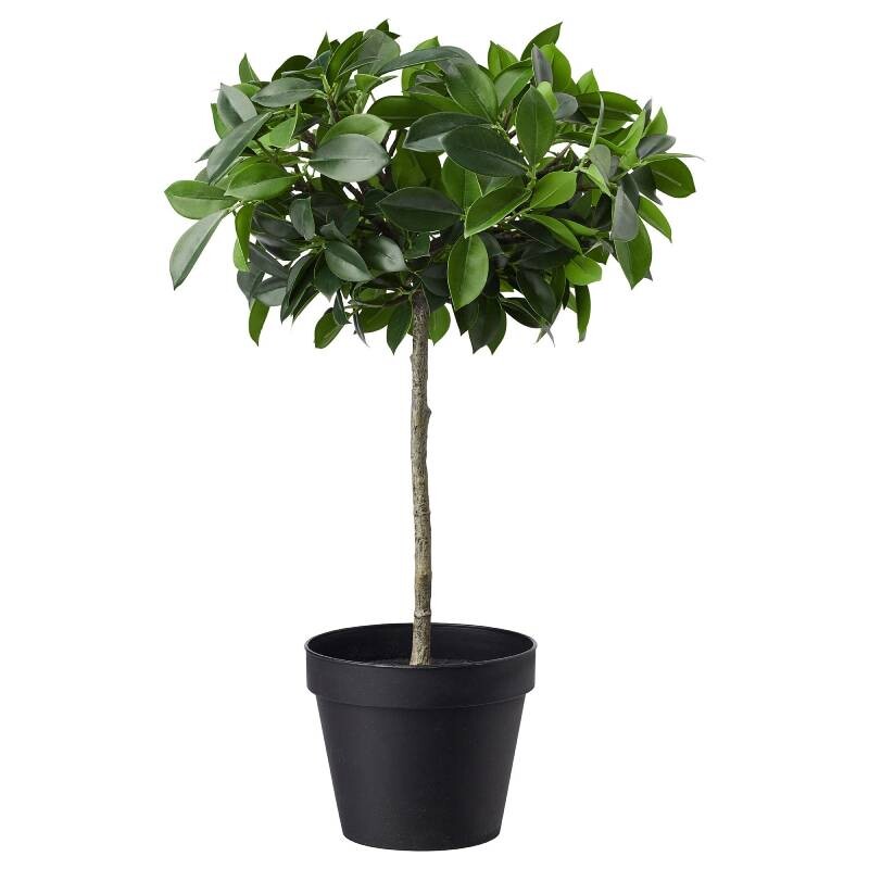 

Искусственное растение в горшке IKEA FEJKA Artificial Plant Weeping Fig, зеленый