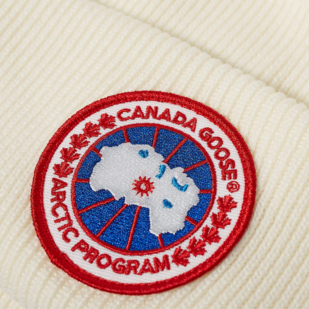 

Арктический дисковый колпак Canada Goose