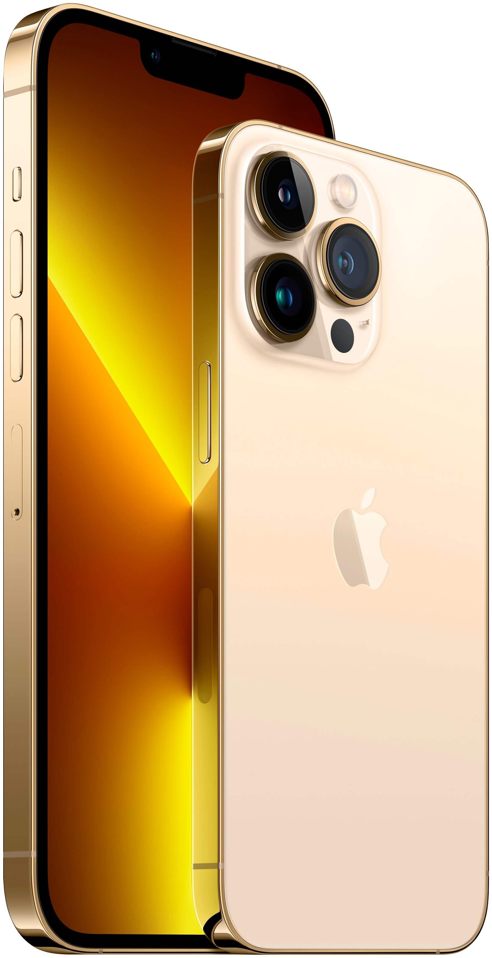 Смартфон Apple iPhone 13 Pro Max 256ГБ, (1 SIM+eSIM), Gold – купить по  выгодным ценам с доставкой из-за рубежа через сервис «CDEK.Shopping»