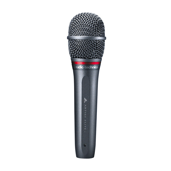 

Микрофон Audio-Technica AE6100, серый