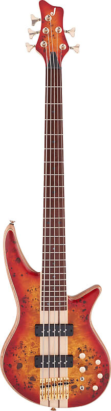 

Jackson Pro Series Spectra Bass SBP V Прозрачный Cherry Burst Pro Series Spectra Bass SBP V Transparent Cherry Burst