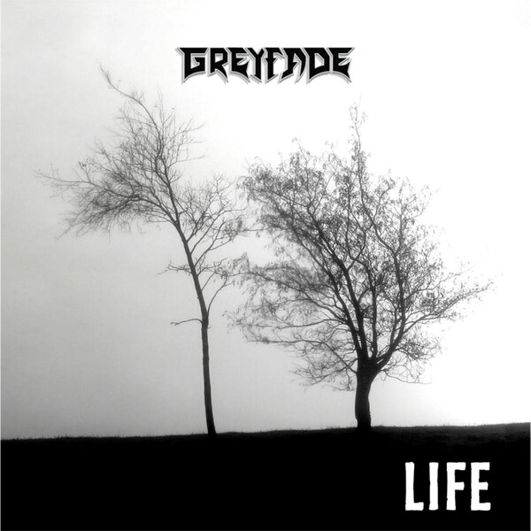 

Виниловая пластинка Life | Grey Fade
