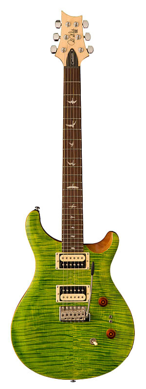 

PRS SE Custom 24-08 в Eriza Verde с сумкой SE Custom 24-08 in Eriza Verde