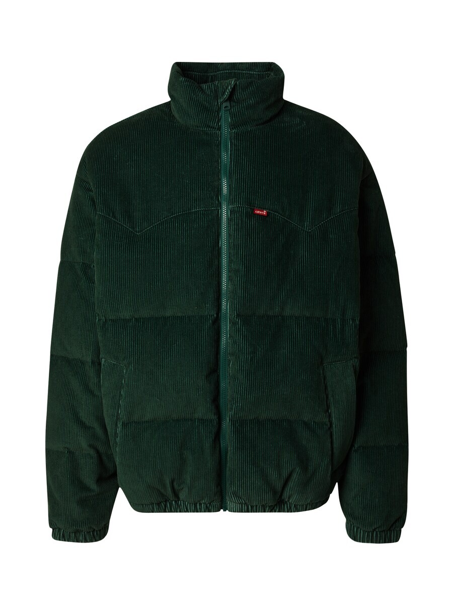 

Куртка LEVIS Winter, темно-зеленый