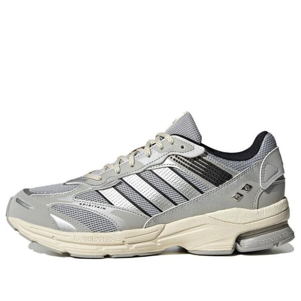 

Кроссовки Adidas Spiritain 2000 Shoes ID5411, серый