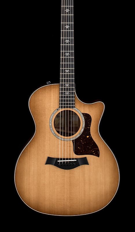 

Гитара Taylor 514ce Urban Ironbark #22164, коричневый