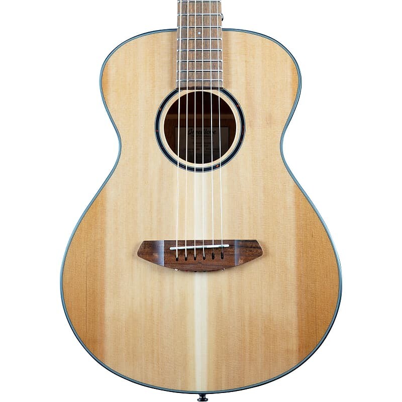 

Акустическая гитара Breedlove ECO Discovery S Companion